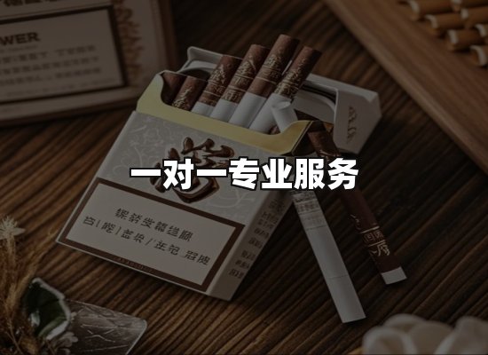专业优势